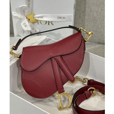 디올 레더 새들 백 19