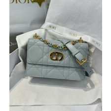 디올 카로 램 마크로캔 미니 레더