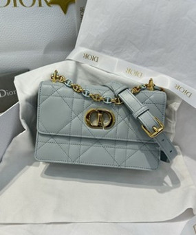 디올 카로 램 마크로캔 미니 레더