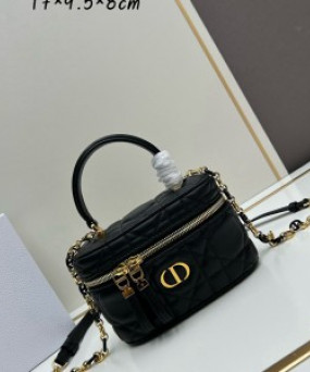 디올 DIOR caro avenue 클러치 파우치 17x9.5x8cm