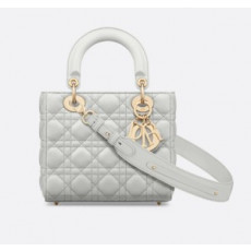 디올 레이디백 스몰 클라우드 그레이