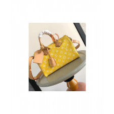 루이비통 런웨이 스피디 P9 반둘리에 25 M24426