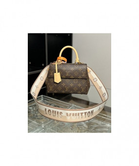 루이비통 클루니 BB 미니 M46055