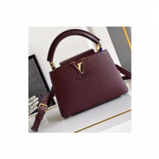 루이비통 카퓌신 미니 M24733 21 x 13.6 x 8 cm