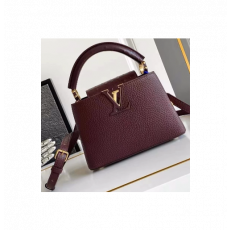 루이비통 카퓌신 미니 M24733 21 x 13.6 x 8 cm