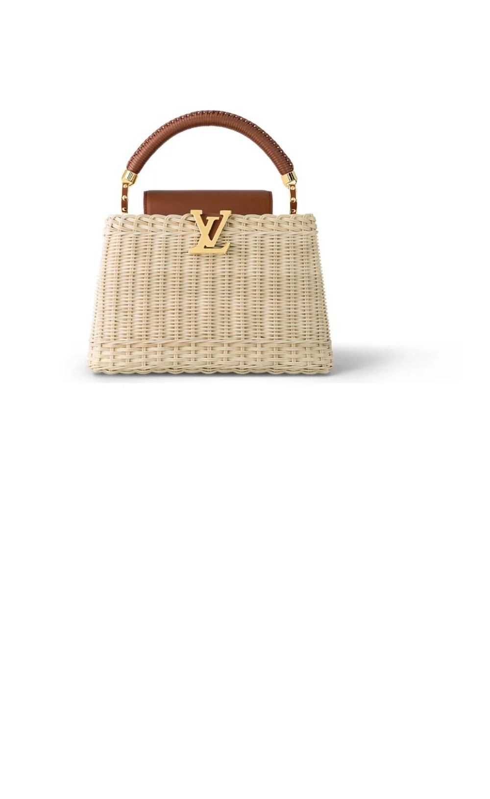 루이비통 카퓌신 BB M22173