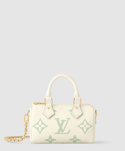 루이비통 나노 스피디백 M24169