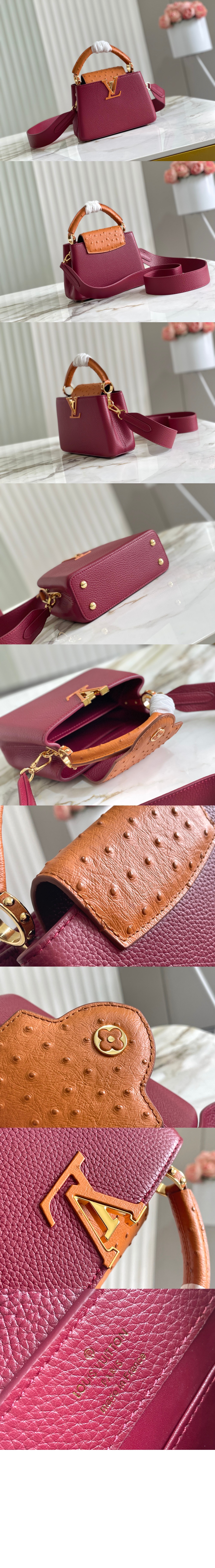 루이비통 카퓌신 미니 N81409