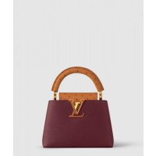 루이비통 카퓌신 미니 N81409