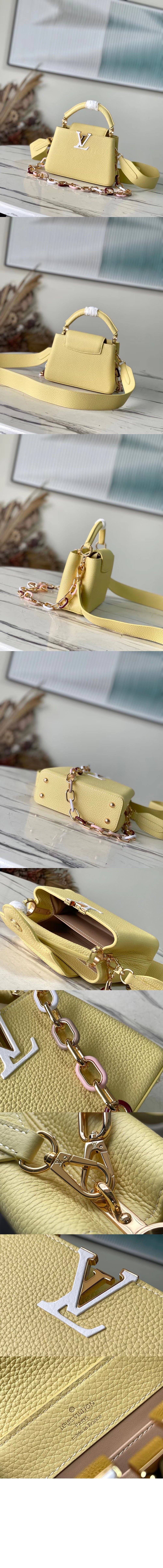 루이비통 카퓌신 미니 M21798