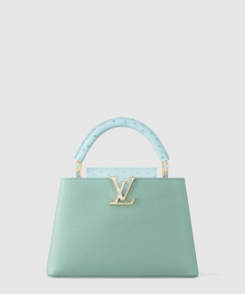 루이비통 카퓌신 BB N84073