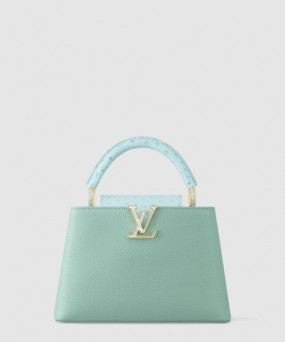 루이비통 카퓌신 BB N84073