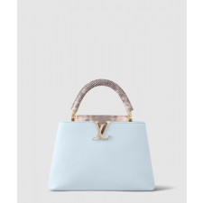 루이비통 카퓌신 BB M21166