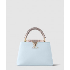 루이비통 카퓌신 BB M21166