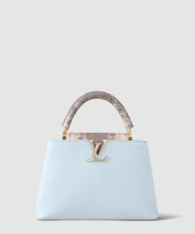 루이비통 카퓌신 BB M21166