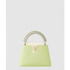 루이비통 카퓌신 미니 M22916