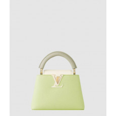 루이비통 카퓌신 미니 M22916