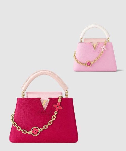 루이비통 카퓌신 미니 M20845