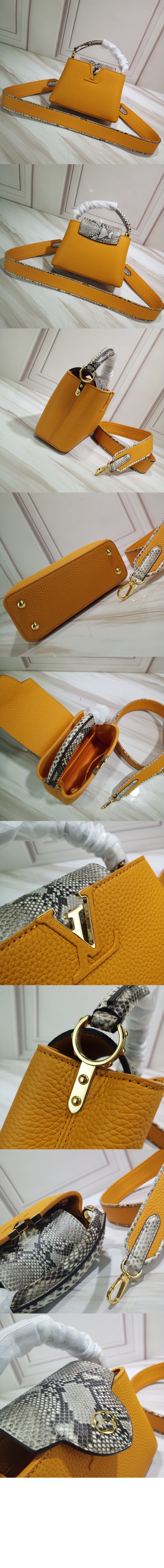 루이비통 카퓌신 미니 N96467