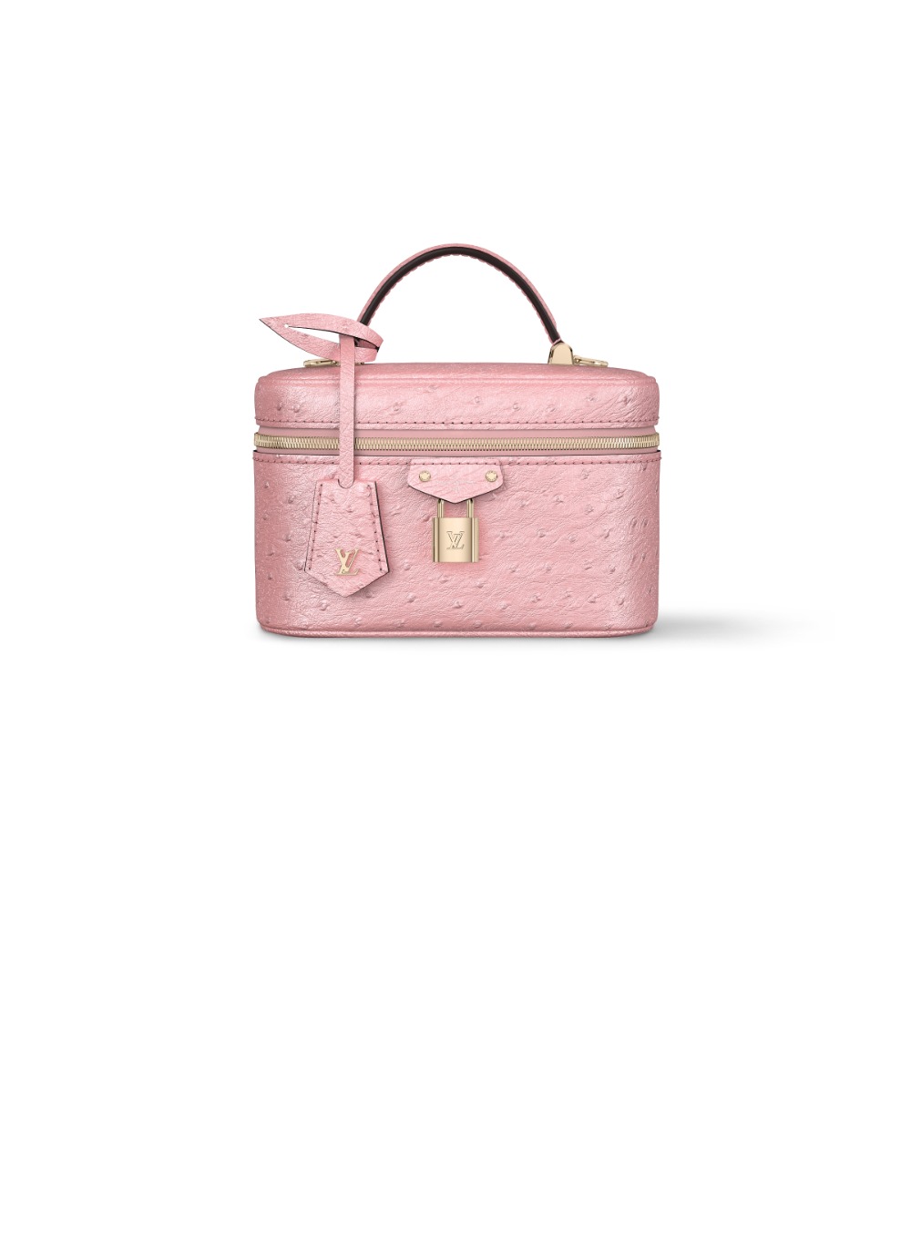 베니티 체인 파우치 N85820