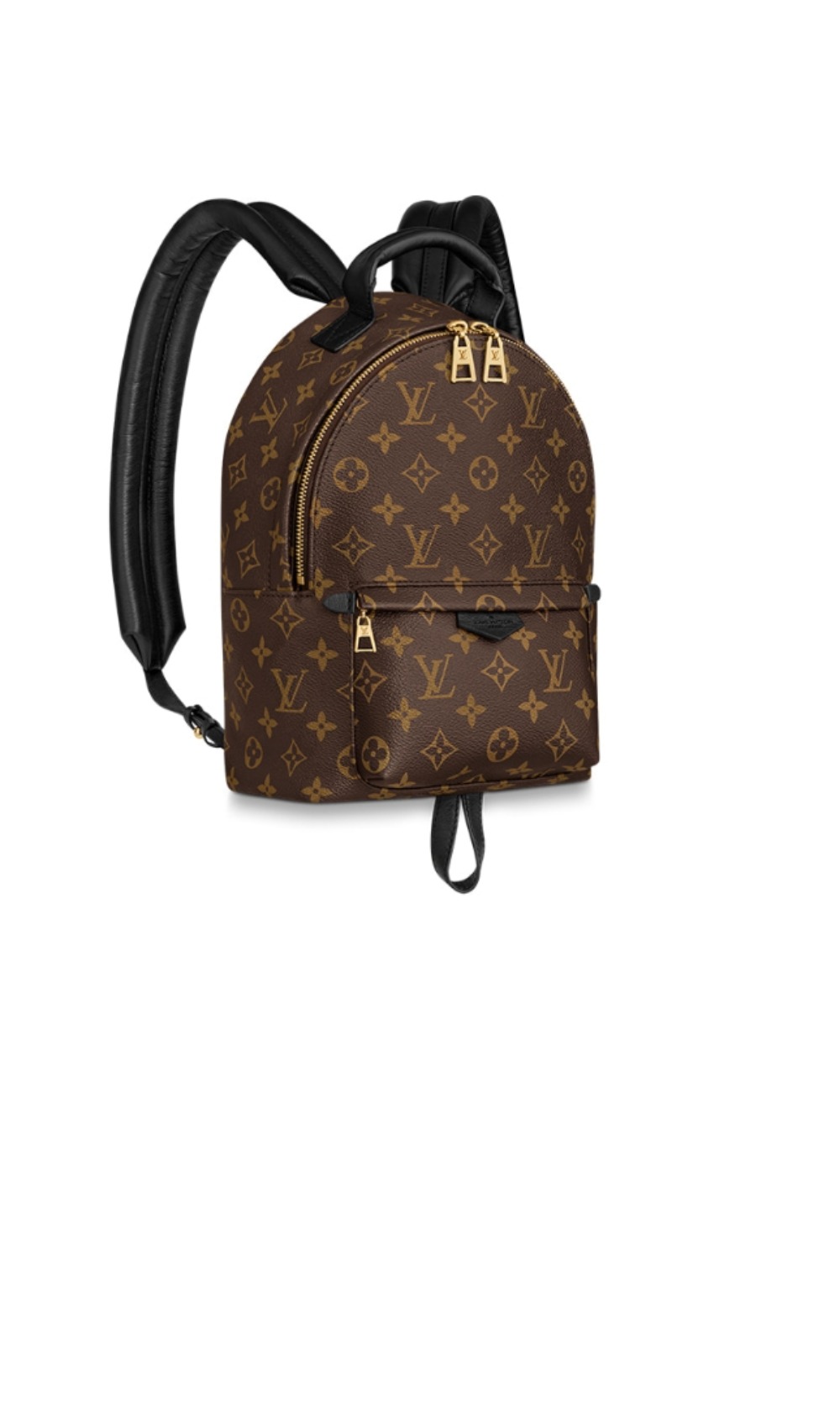 팜스프링스 백팩 PM M44871