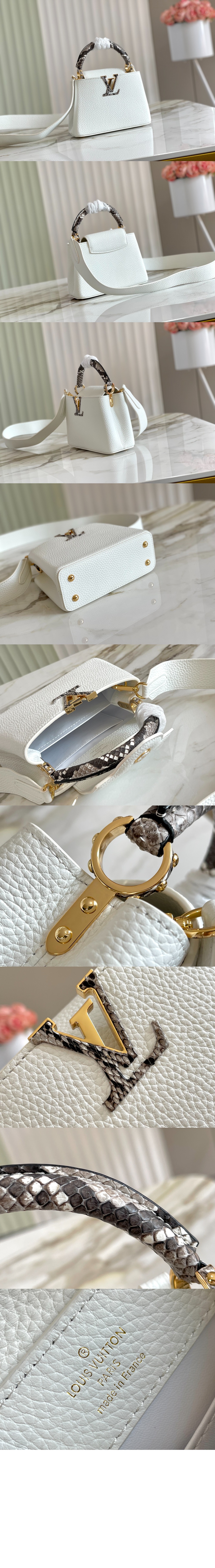 루이비통 카퓌신 미니 N98477