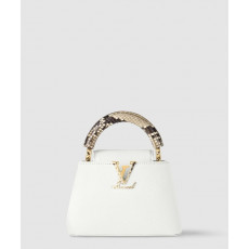 루이비통 카퓌신 미니 N98477