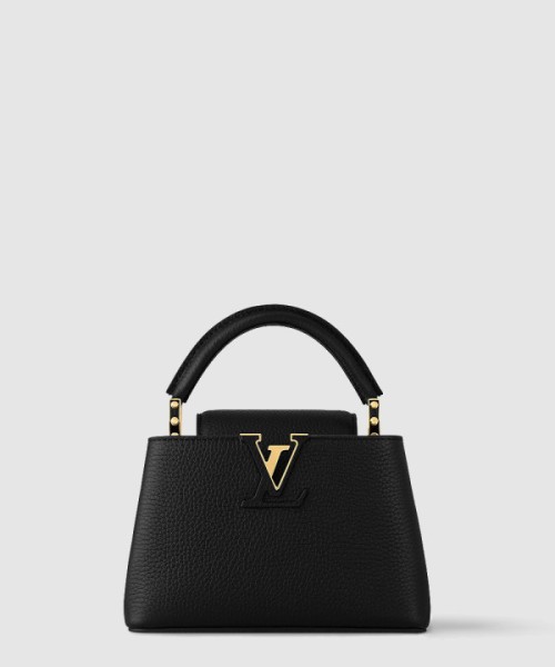 루이비통 카퓌신 미니 M24729