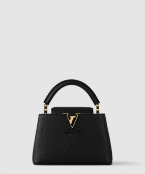 루이비통 카퓌신 미니 M24729