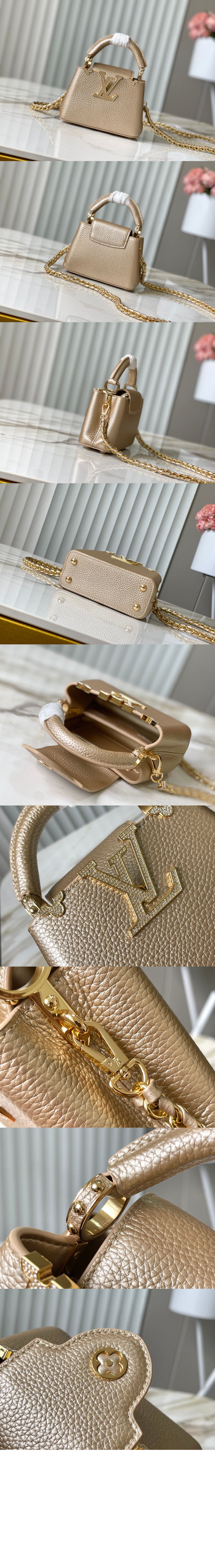 루이비통 카퓌신 나노 M24583