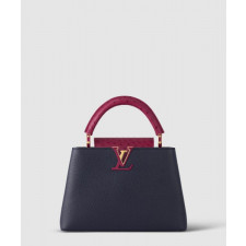 루이비통 카퓌신 BB N83103