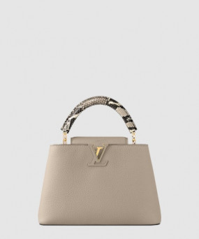 루이비통 카퓌신 BB N92040