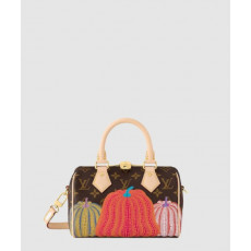 스피디 반둘리에 20 모노그램 M46469