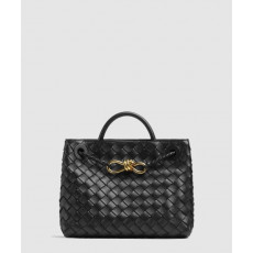 보테가베네타 스몰 안디아모 766014