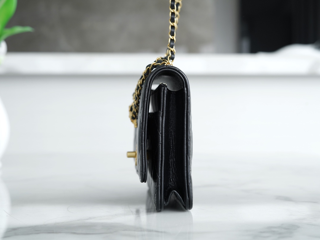 샤넬 미니 더블체인 WOC