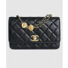 샤넬 미니 더블체인 WOC