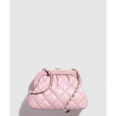 샤넬 케이스 AS4717