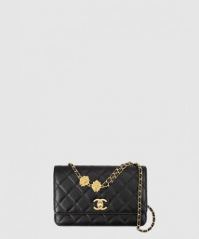 샤넬 체인 라이온백 AP3424