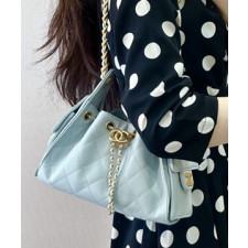 샤넬 25c 호보백 22