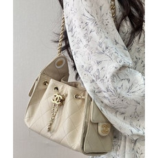 샤넬 25c 호보백 22