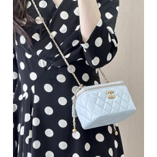 샤넬 베니티 램스킨 16