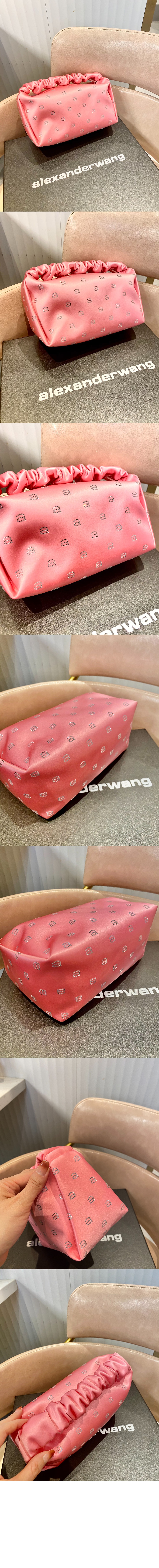 알렉산더왕 실크 클러치 20123R