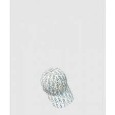 디올 베이스볼 캡 4U3C7