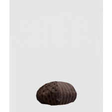 프라다 베레모 2HC854