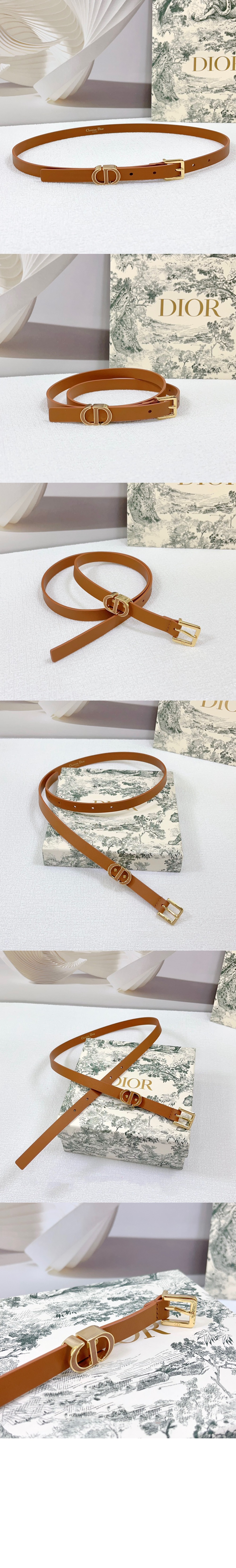 디올 30 몽테인 루프 벨트 B0439 ₩ 810,000