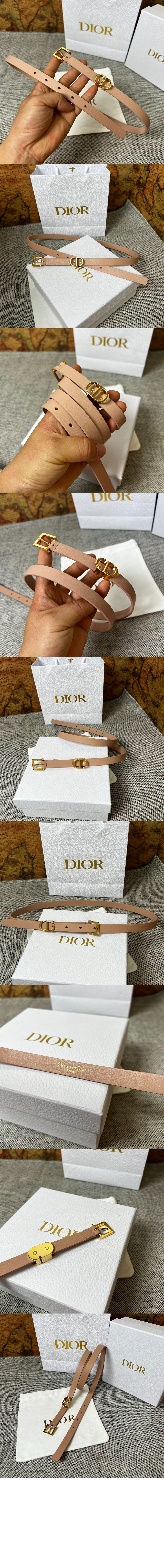 디올 30 Montaigne Loop 벨트