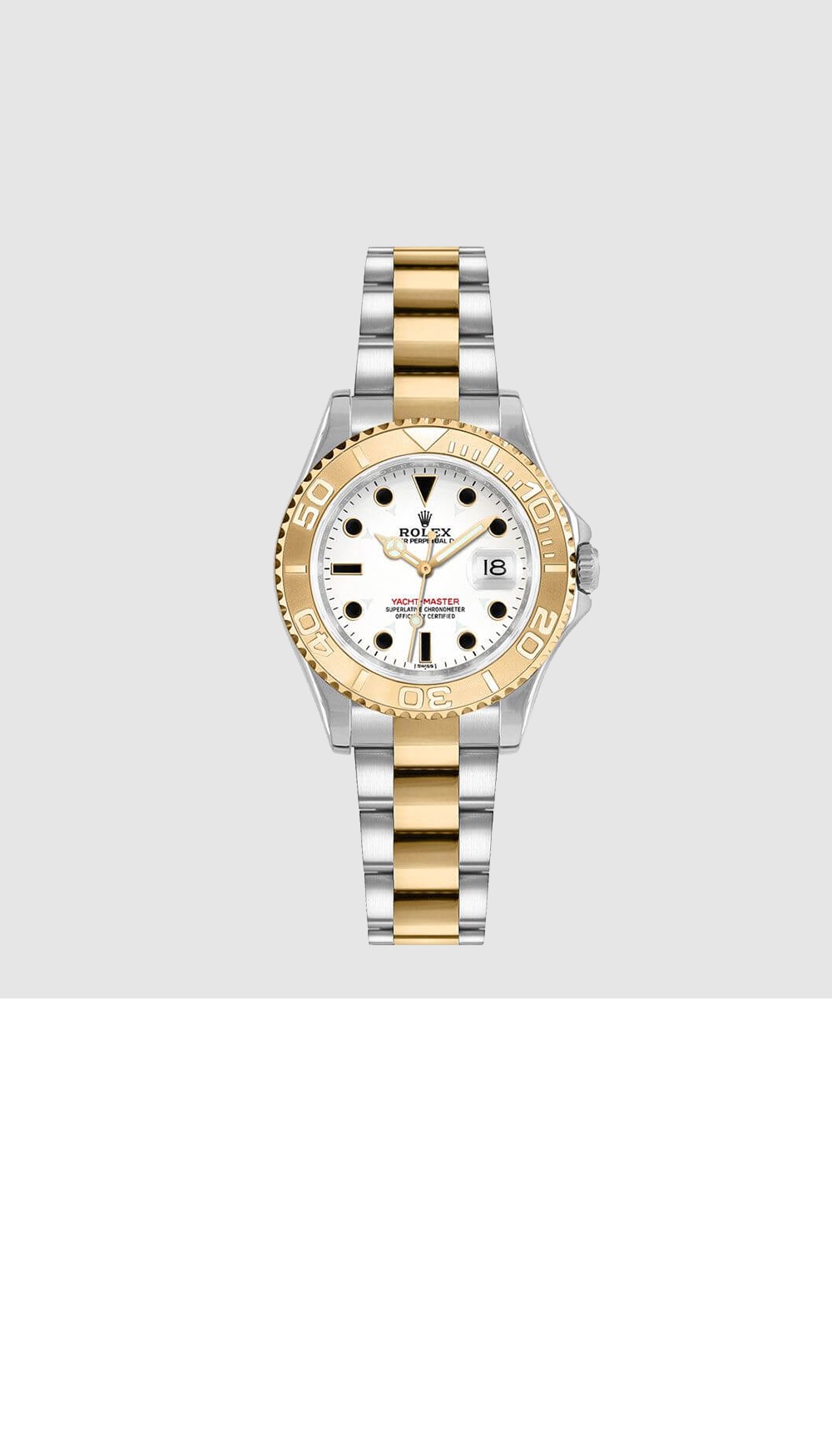 씨 드웰러 29 169623