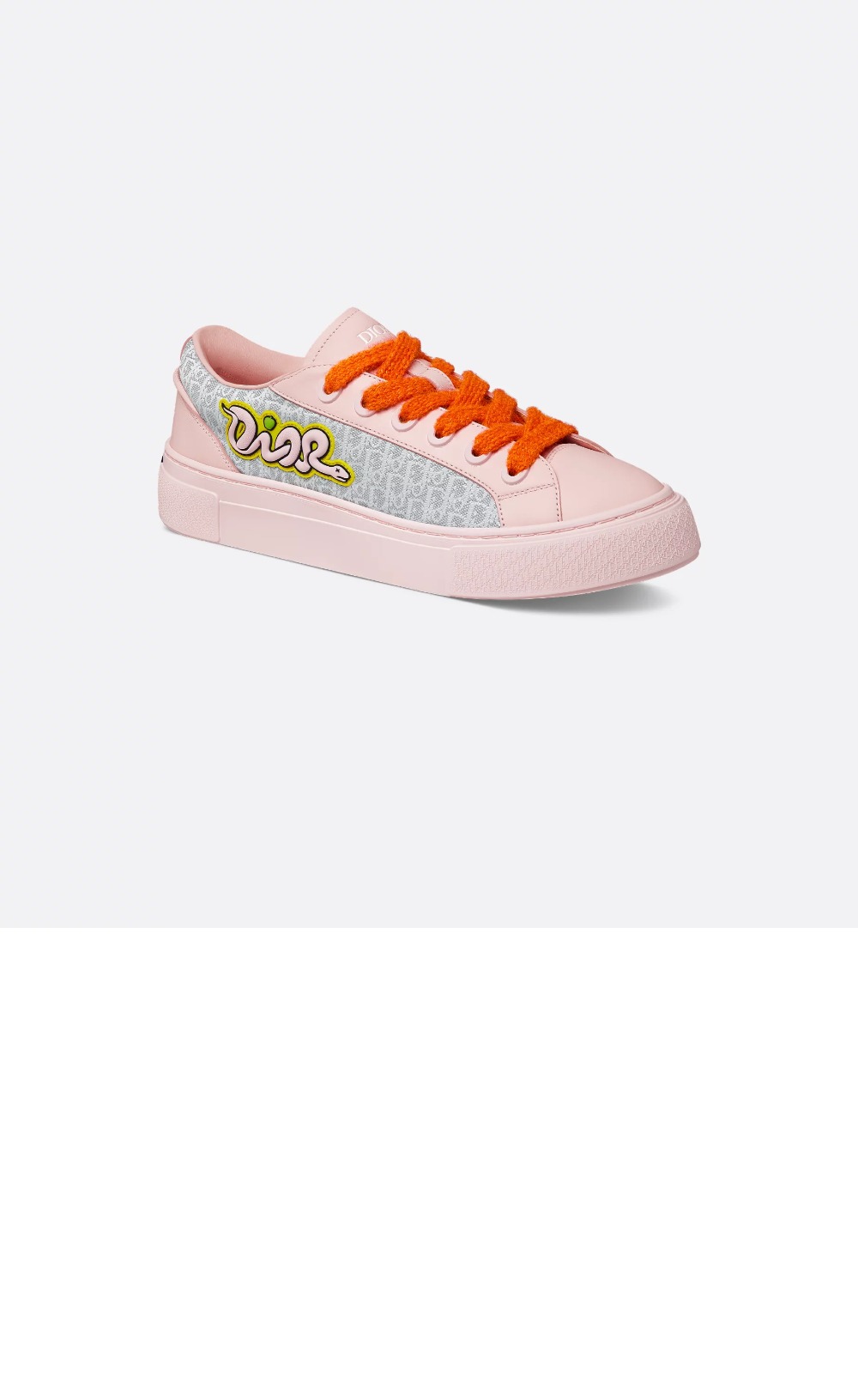 디올 AND KAWS B33 스니커즈 3SN303