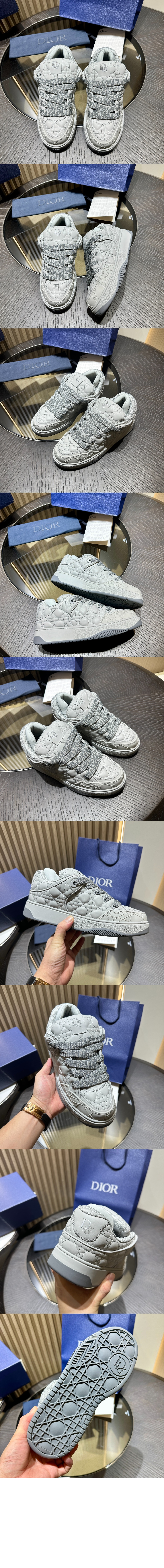 디올 B9s 스케이터 스니커즈 3SN28