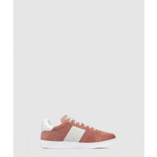 디올 스타 스니커즈 KCK39